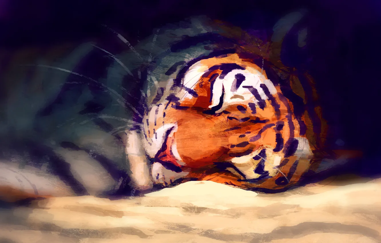 Фото обои тигр, спит, by Meorow