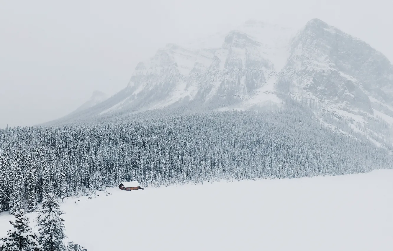 Фото обои зима, лес, снег, горы, Alberta, Lake Louise, Canada