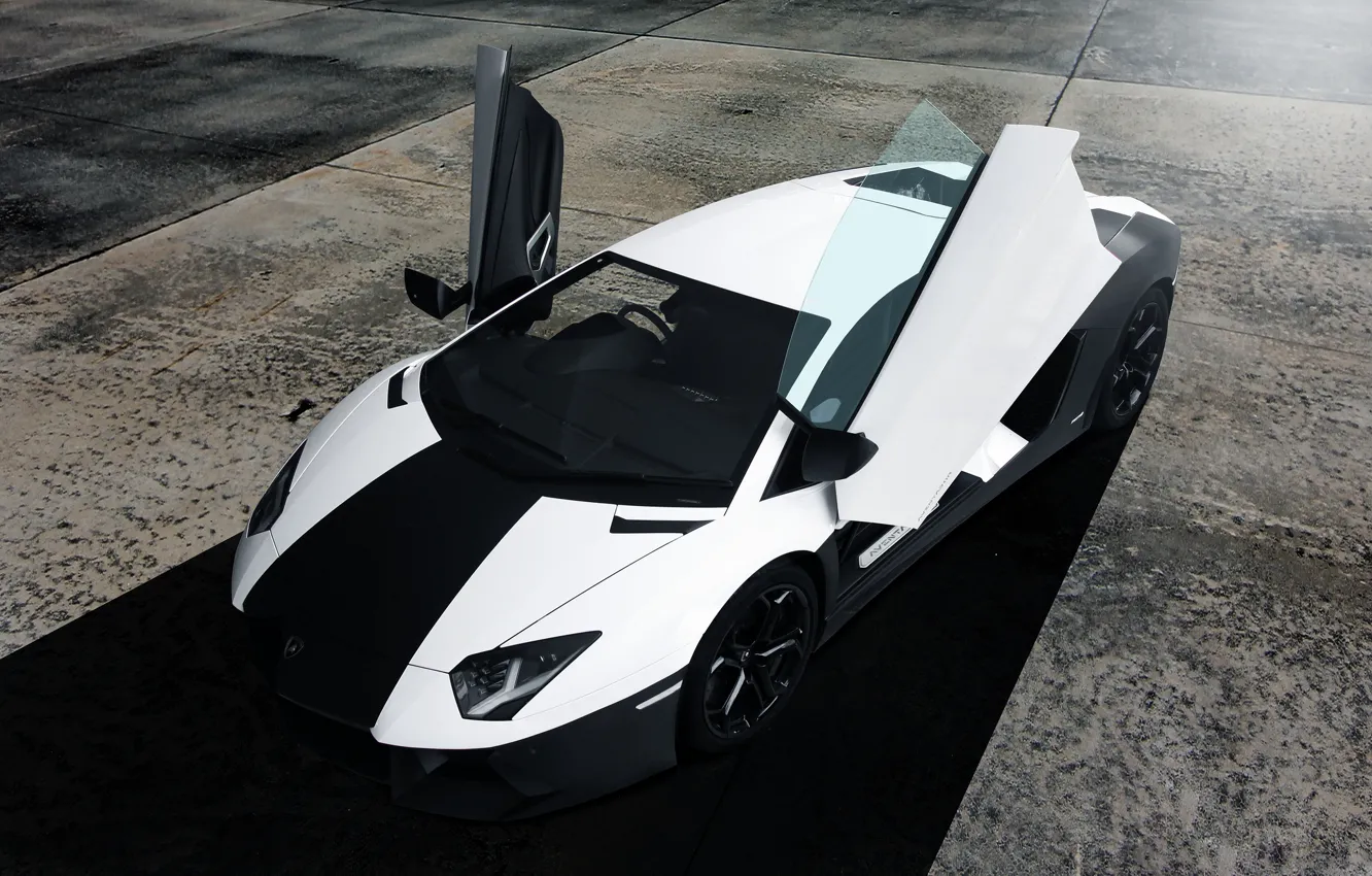 Фото обои белый, черный, Lamborghini, перед, white, black, front, aventador