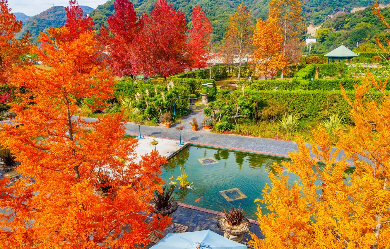 Фото обои осень, листья, деревья, парк, краски, Япония, багрянец, Тамано