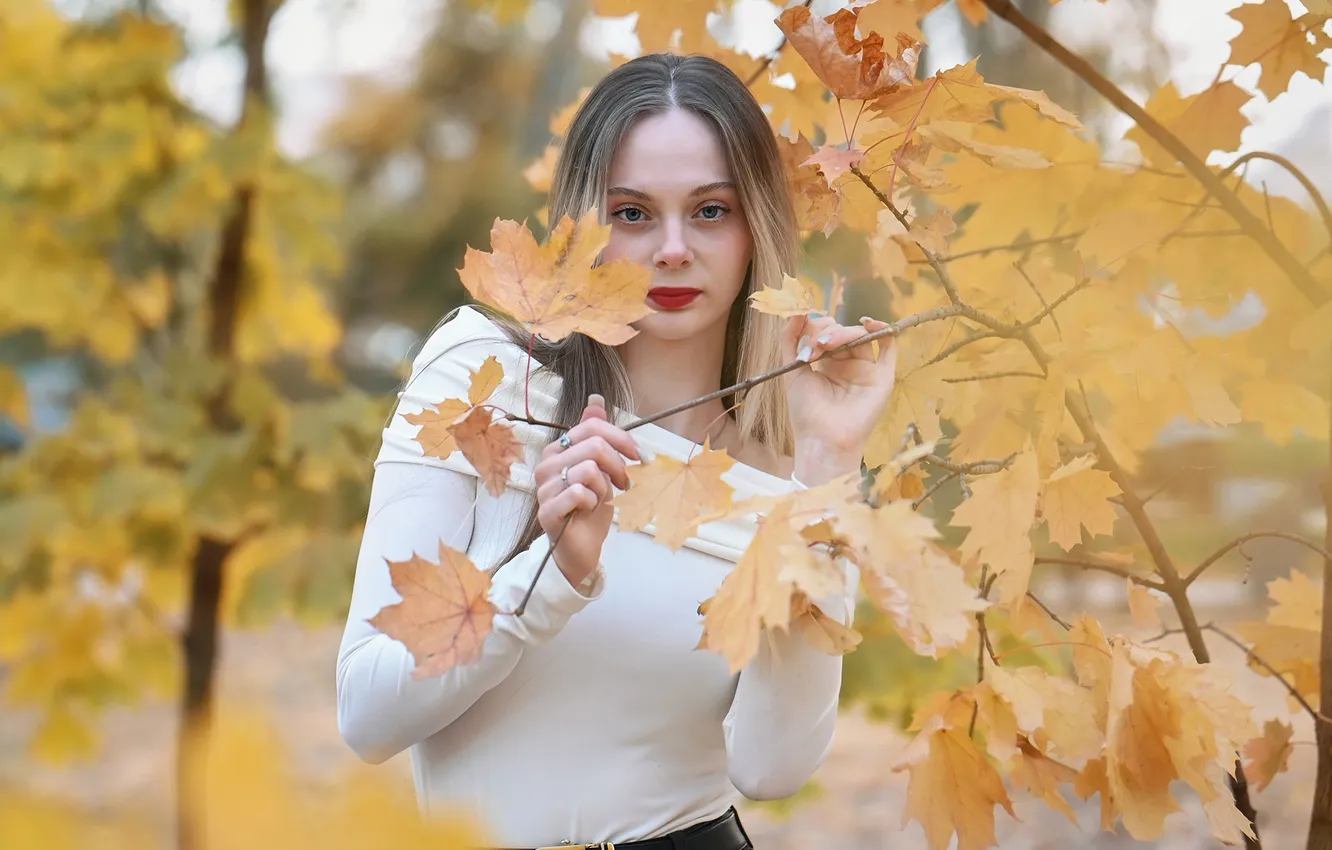 Фото обои девушка, милая, модель, Осень, Лицо, Обои, Портрет, шатенка