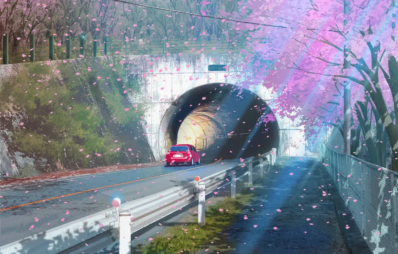 Фото обои дорога, авто, тоннель, цветение