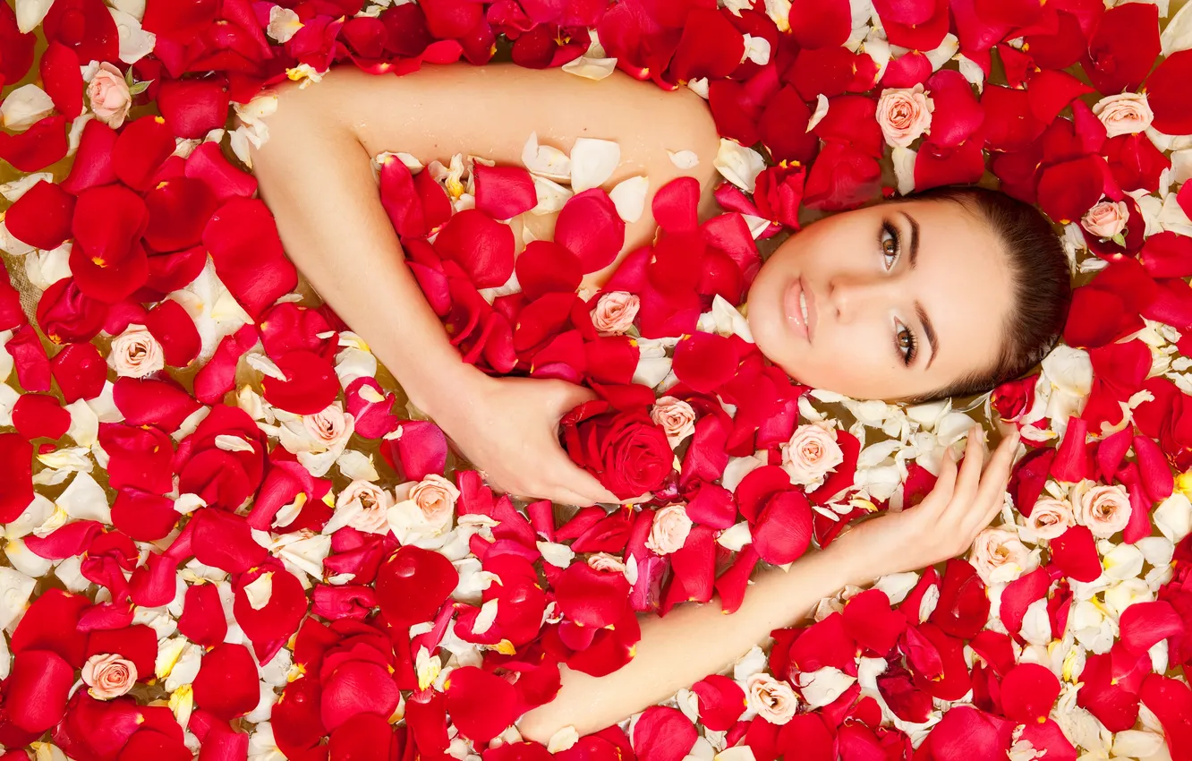 Фото обои взгляд, девушка, розы, лепестки, шатенка, кареглаза