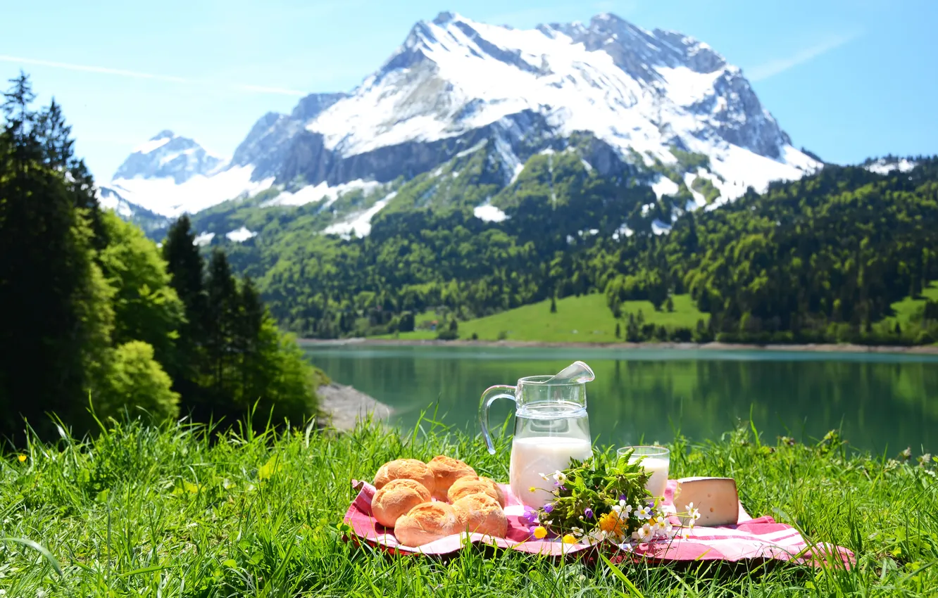 Фото обои зелень, трава, снег, цветы, гора, сыр, молоко, кувшин