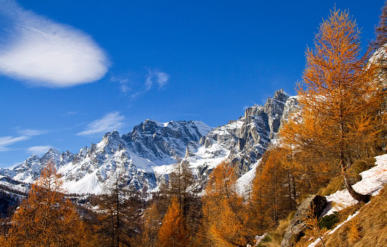 Фото обои осень, небо, снег, деревья, горы