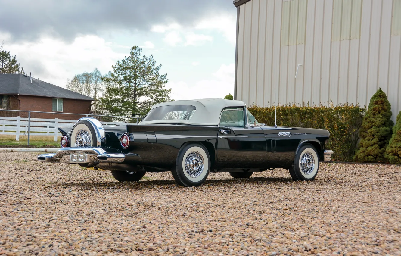 Фото обои Ford, Форд, 1957, ретро автомобили, Thunderbird, retro cars, Ford Thunderbird E-Code, E-Code