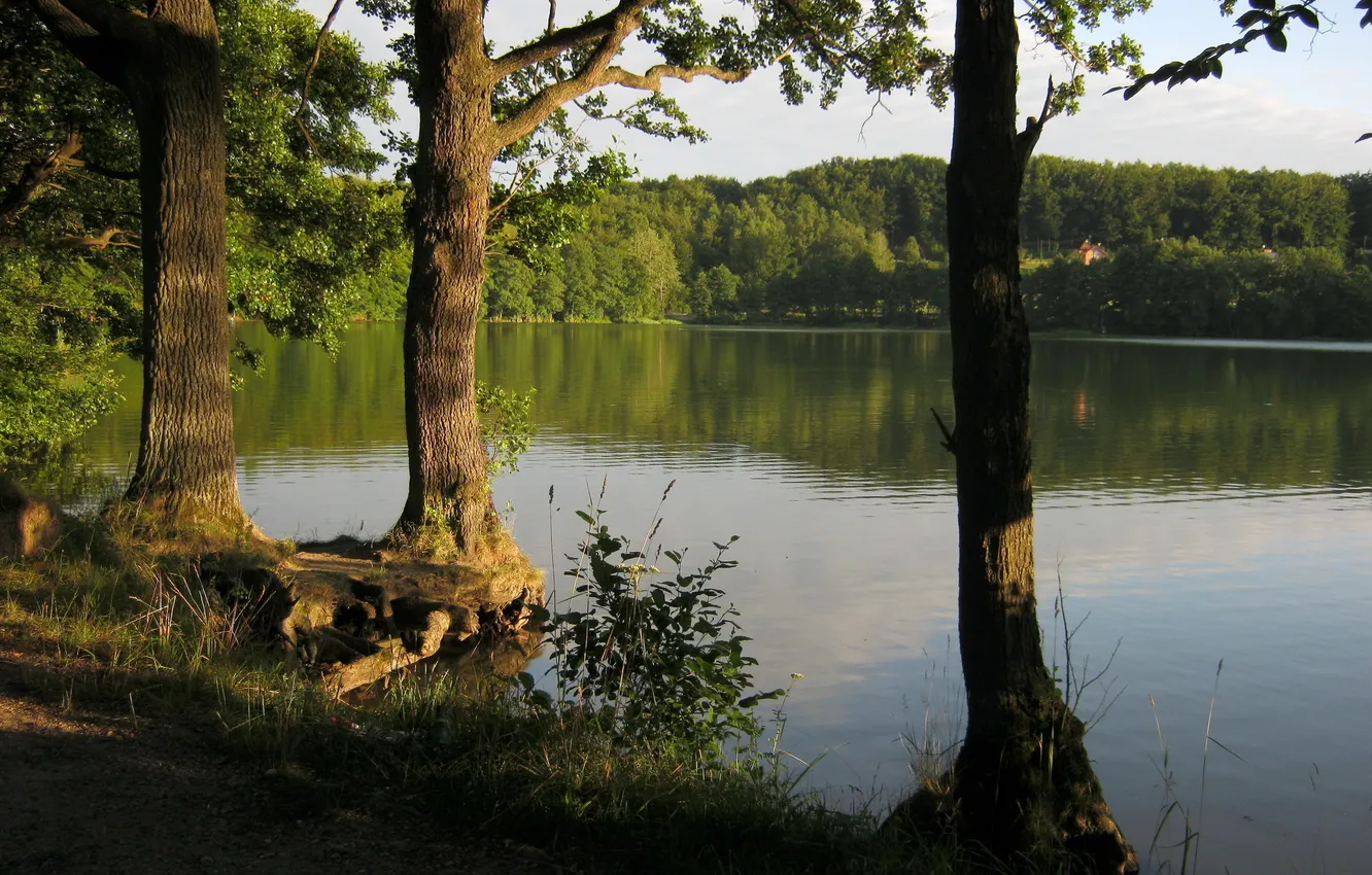 Фото обои природа, озеро, фото, Польша, Marchowo, Jezioro