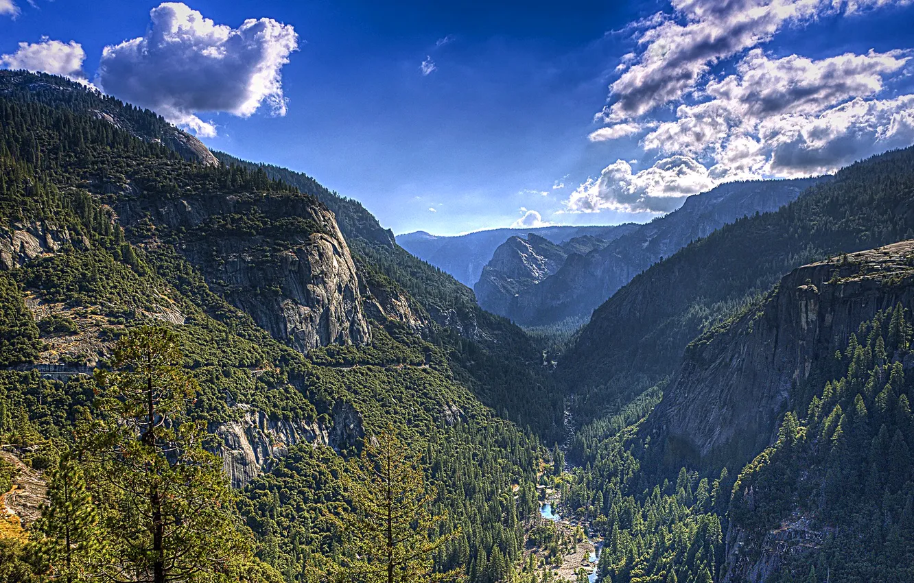 Фото обои лес, небо, деревья, горы, река, долина, Yosemite, National Park