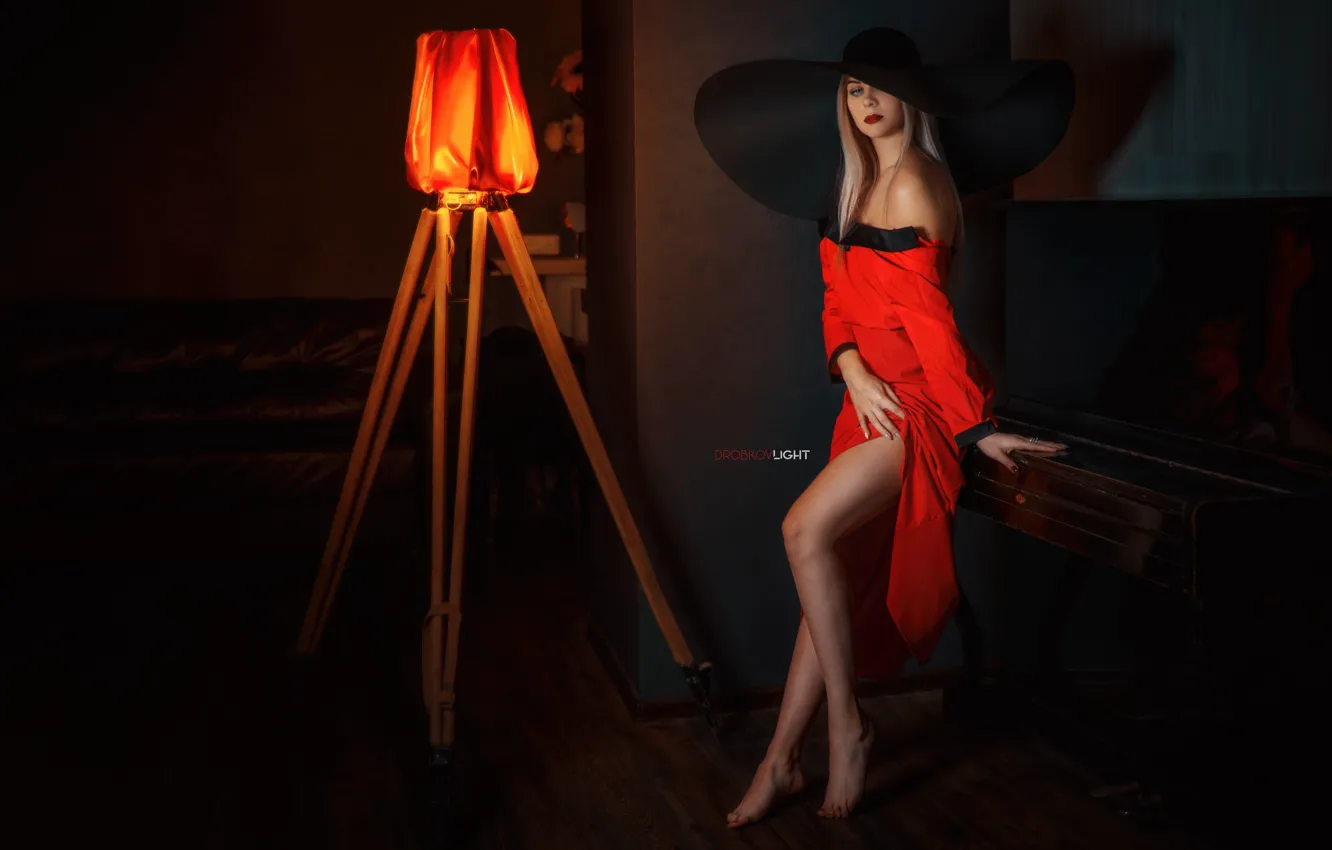 Фото обои поза, Девушка, шляпа, платье, ножки, вырез, Alexander Drobkov-Light, Карина Керина