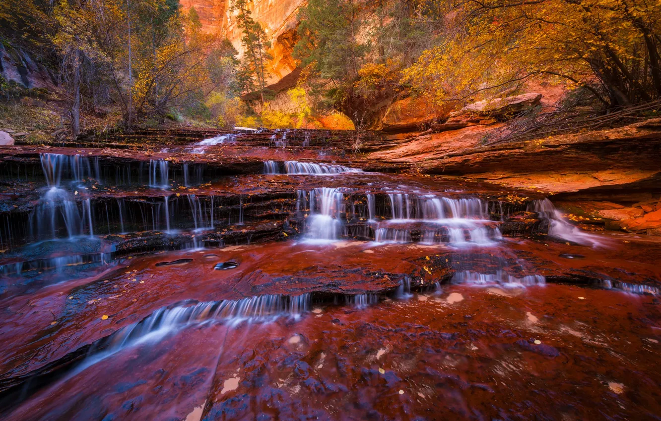 Фото обои осень, деревья, река, ручей, скалы, листва, водопад, поток