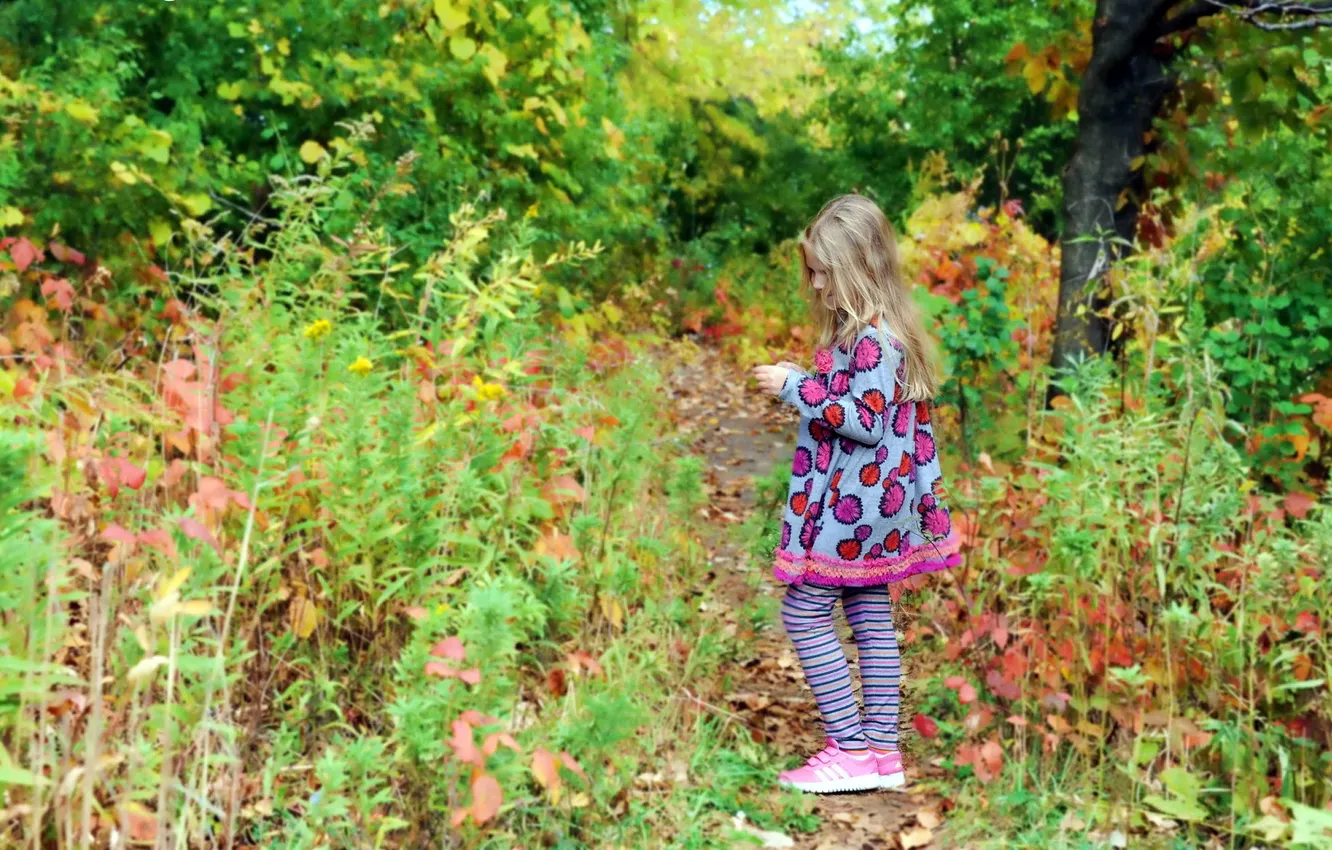 Фото обои осень, природа, настроение, девочка