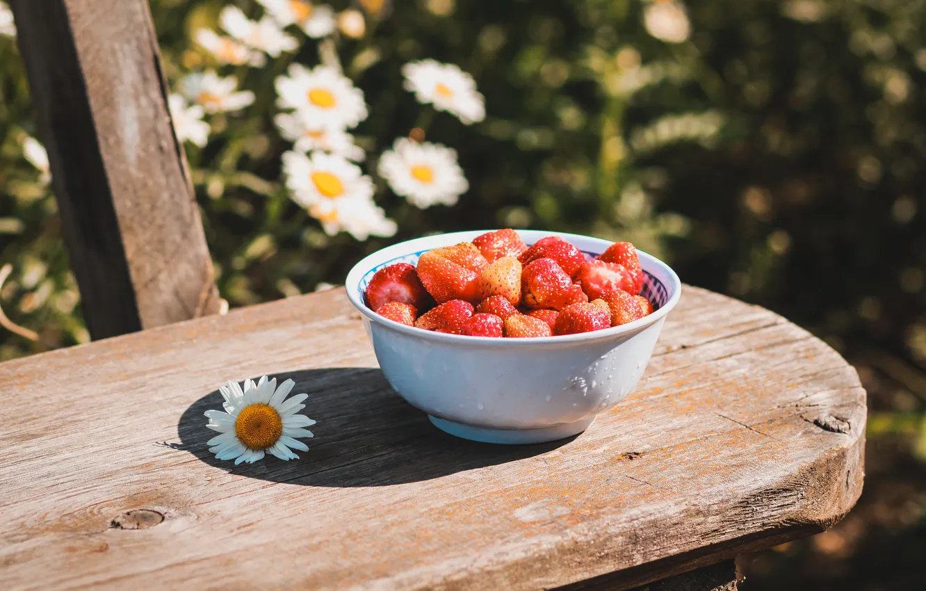 Фото обои лето, природа, настроение, еда, ромашка, клубника, ягода, натюрморт