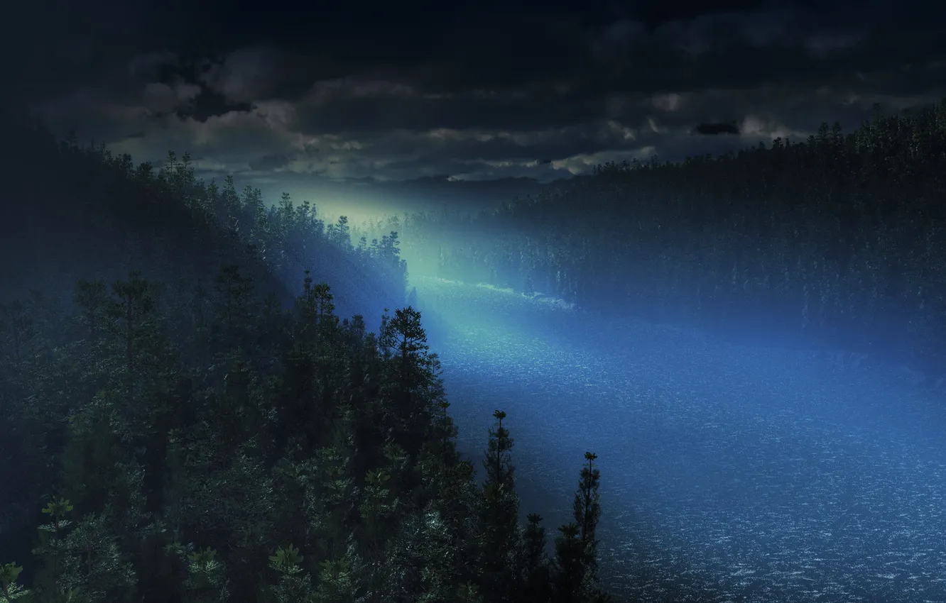 Фото обои лес, ночь, река