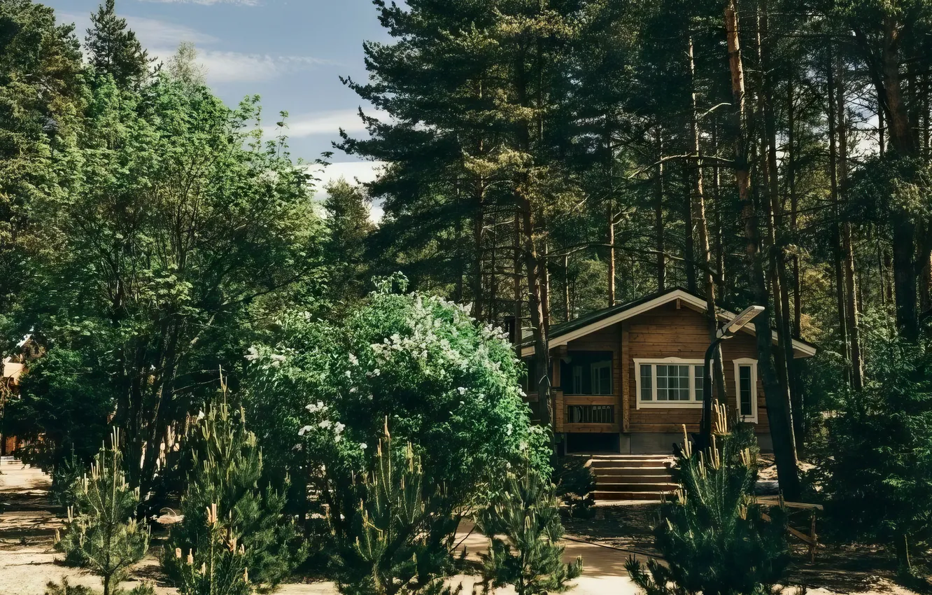 Фото обои Природа, Лес, Домик, House, Nature, Forest