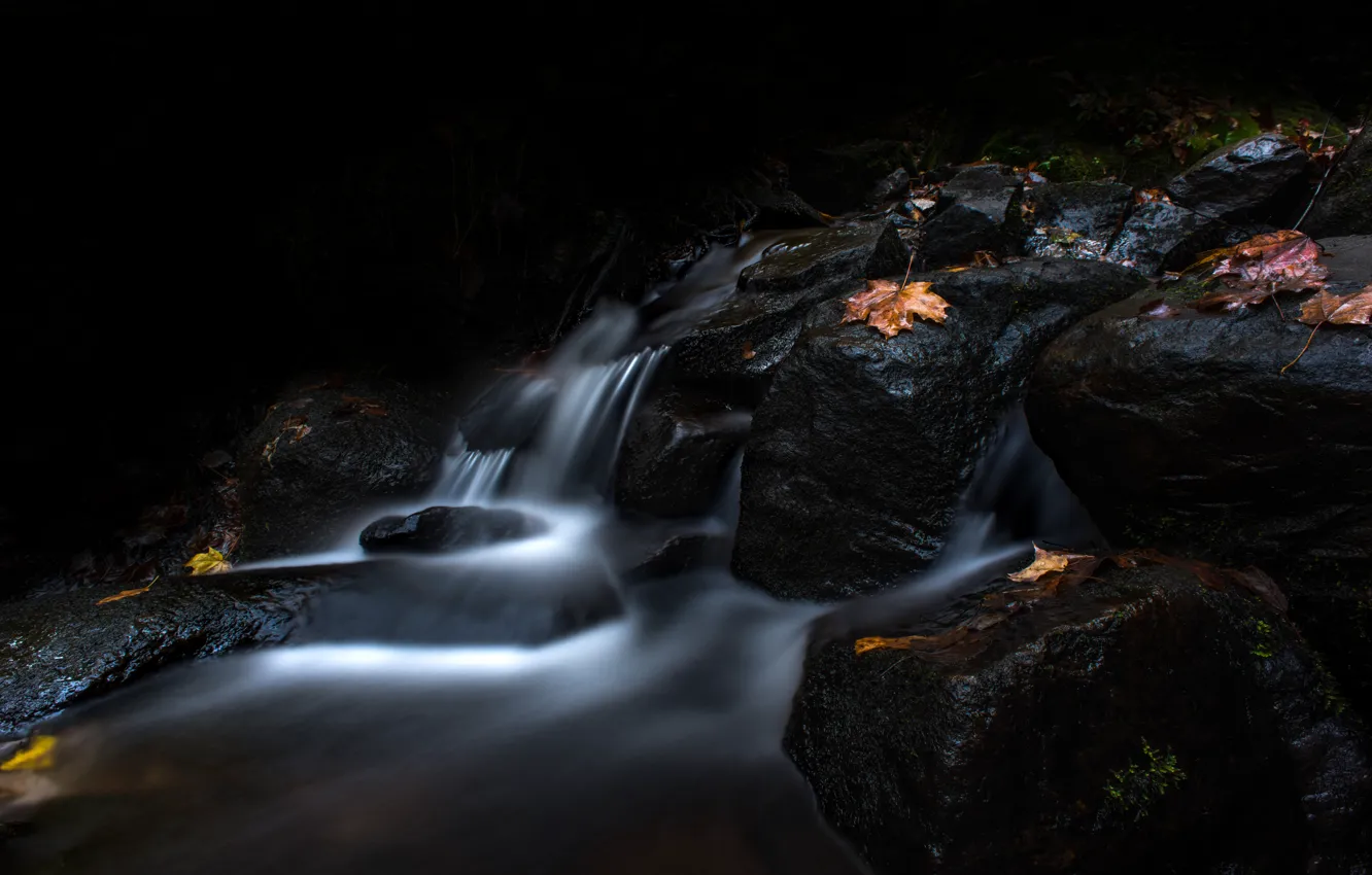 Фото обои осень, листья, темный фон, камни, водопад