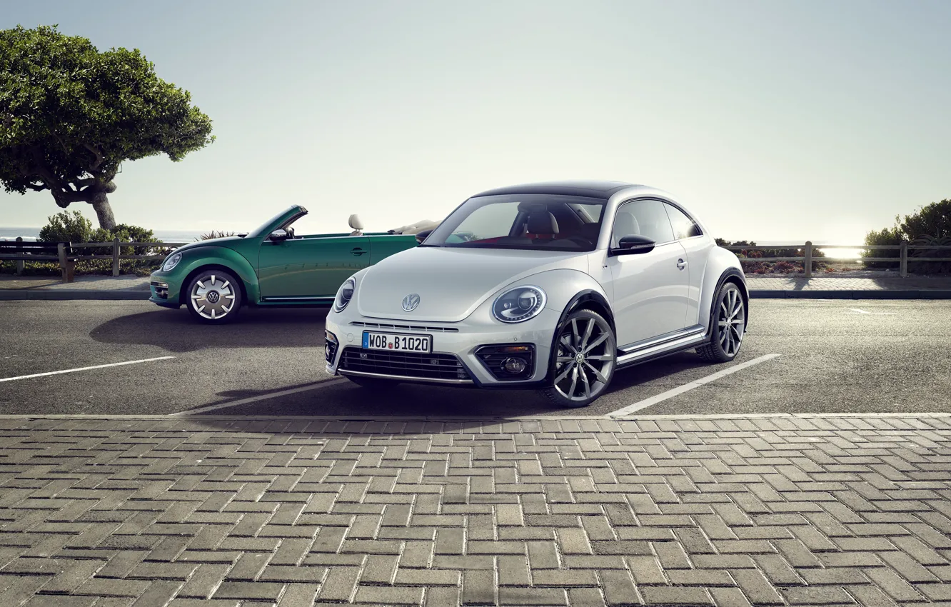 Фото обои жук, Volkswagen, фольксваген, Beetle