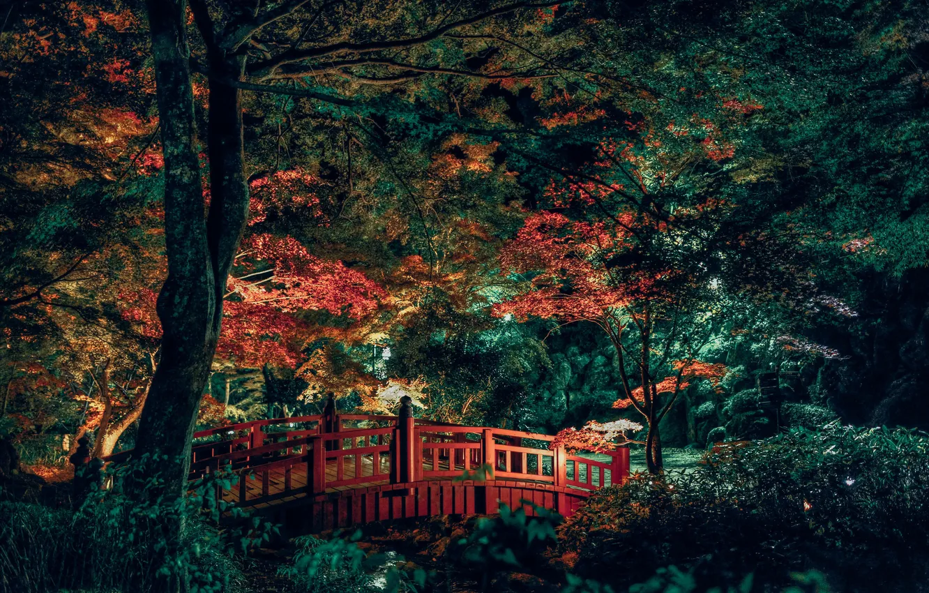 Фото обои деревья, мост, ручей, сад