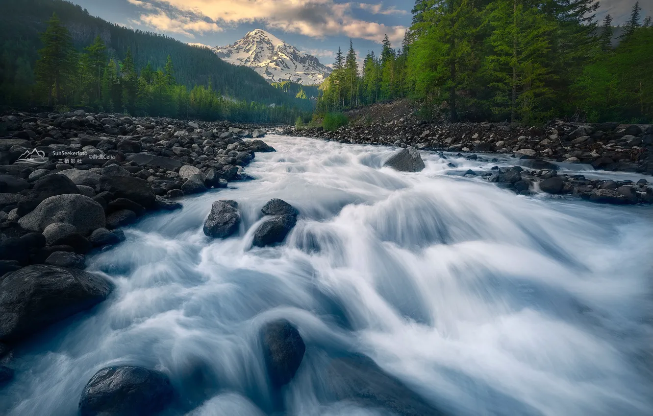 Фото обои лес, деревья, горы, ручей, камни, долина, Oregon