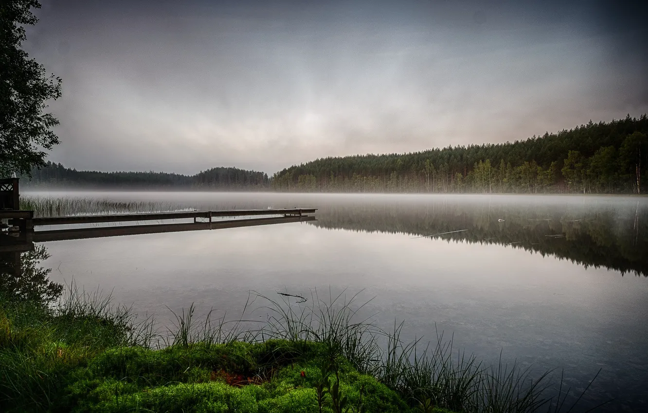 Фото обои лес, туман, река, утро, причал, дымка