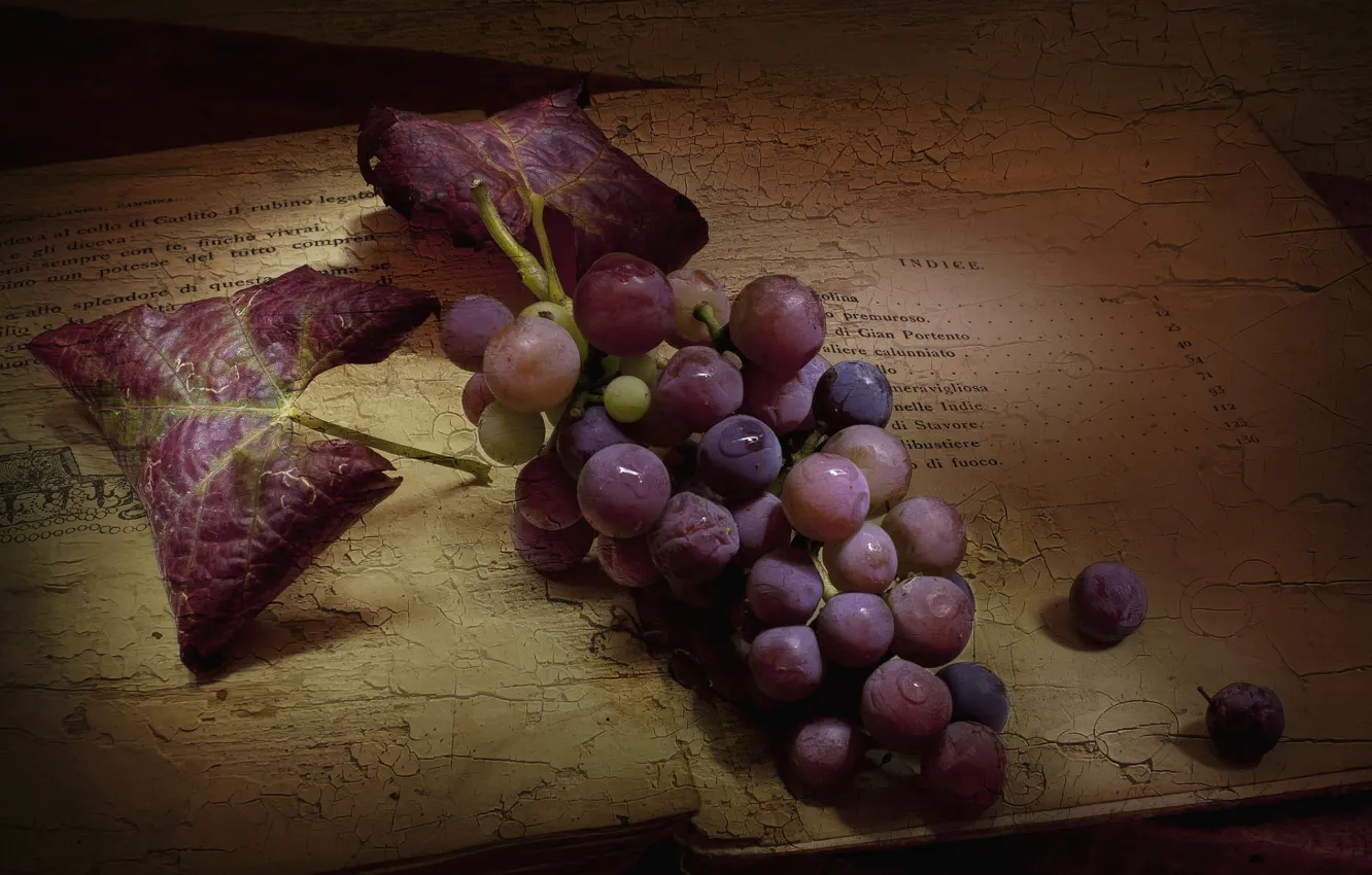 Фото обои ягоды, текстура, виноград, гроздь, книга, винтаж