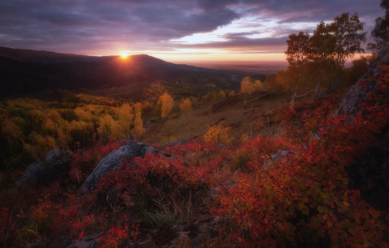 Фото обои осень, лес, небо, яркие краски, солнце, облака, пейзаж, закат