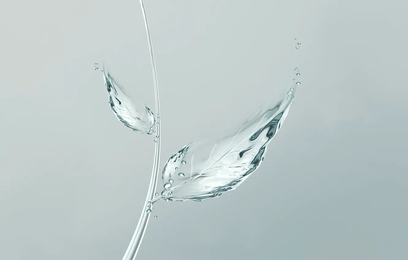 Фото обои вода, пузырьки, лист, минимализм, bubbles, minimalism, water, leaf