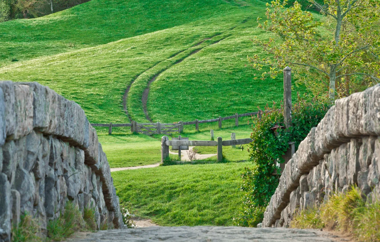 Фото обои wall, grass, Nature, road, landscape, tree, hill, stones