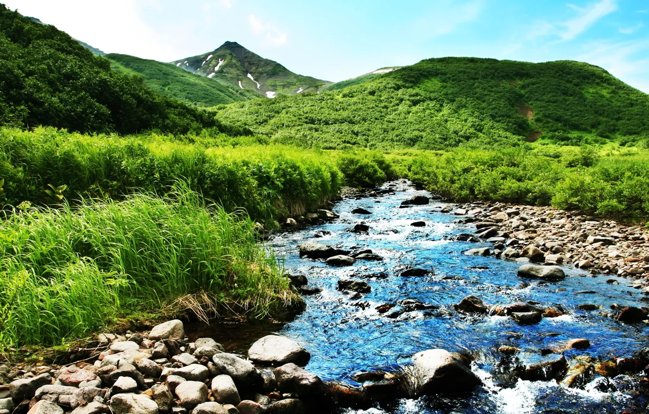 Фото обои зелень, лето, горы, природа, река, ручей