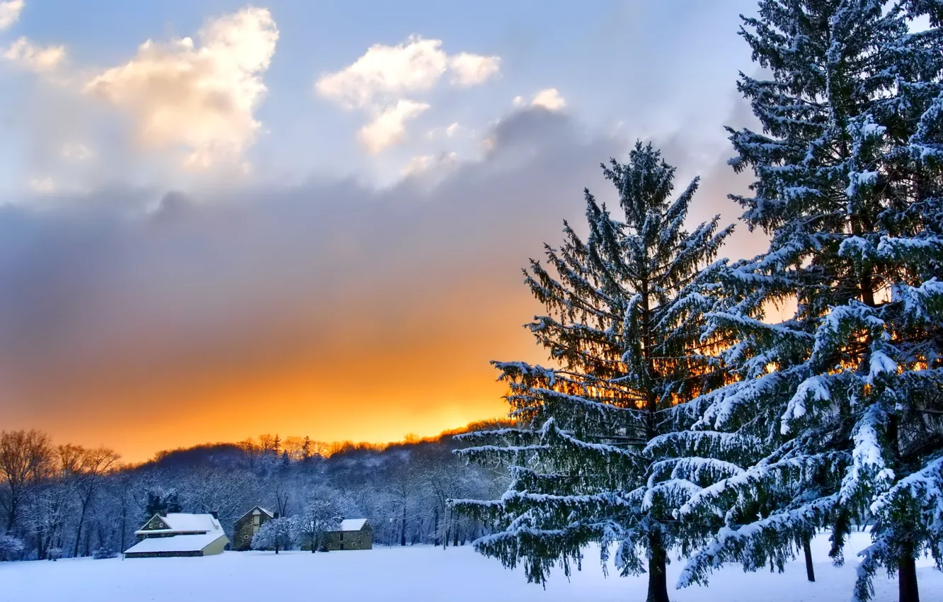 Фото обои зима, небо, облака, снег, деревья, пейзаж, закат, природа