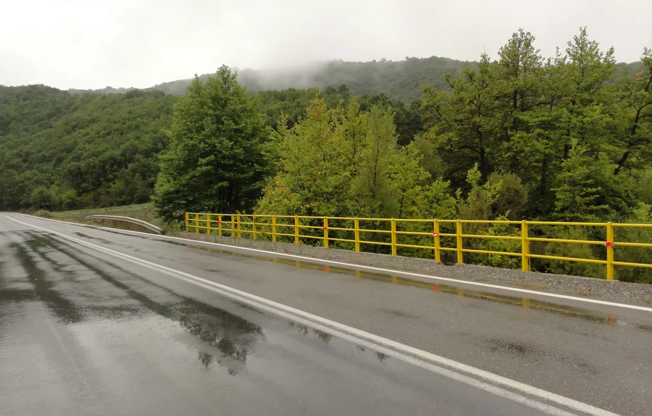 Фото обои rain, bridge, Grevena