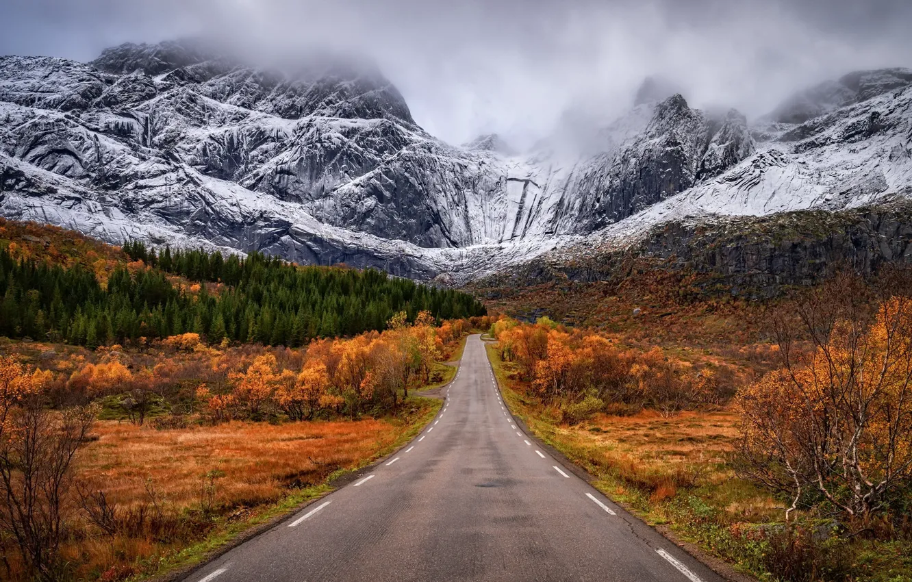 Фото обои дорога, осень, горы