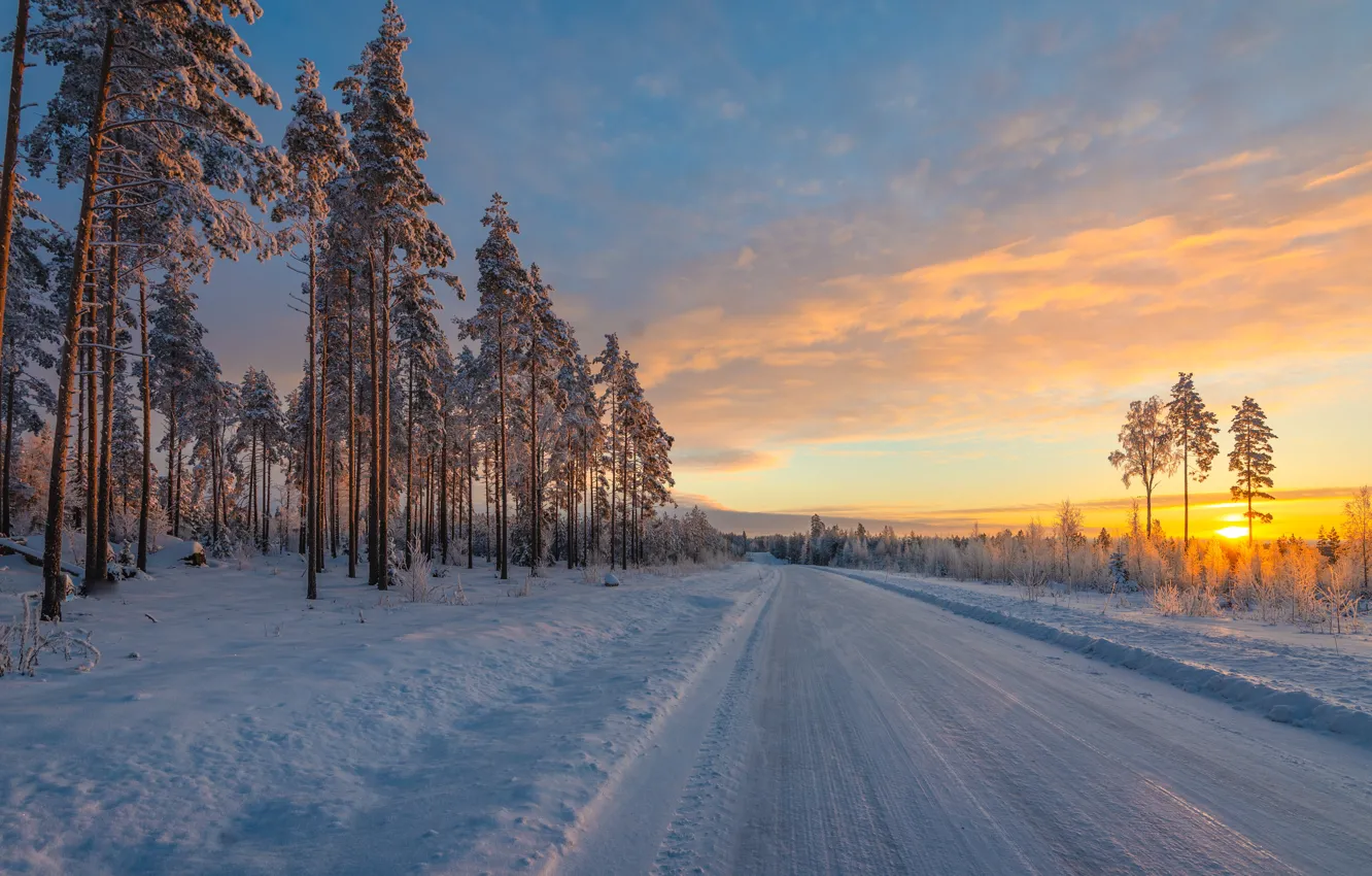 Фото обои зима, дорога, снег, деревья, восход, рассвет, утро, сосны