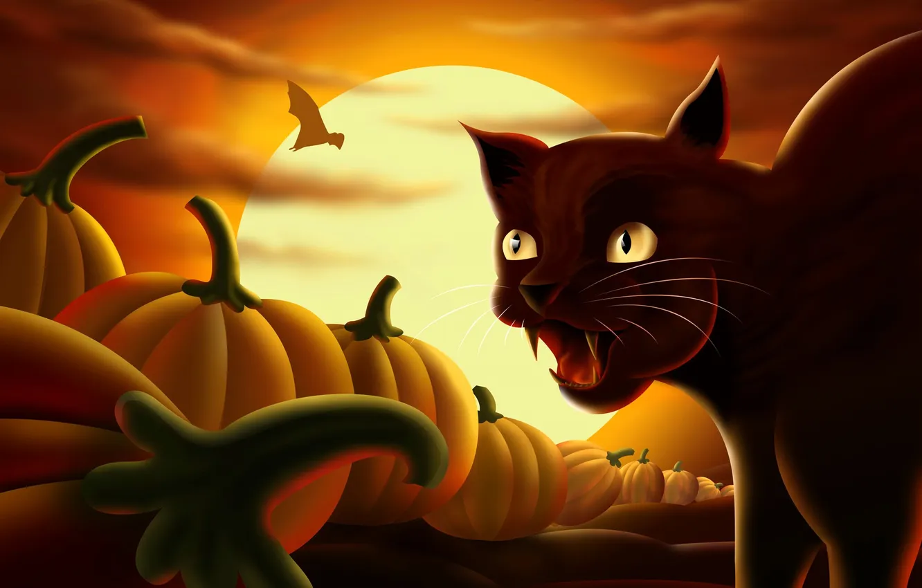 Фото обои кот, луна, тыквы, летучая мышь, Хэллоуин, Helloween