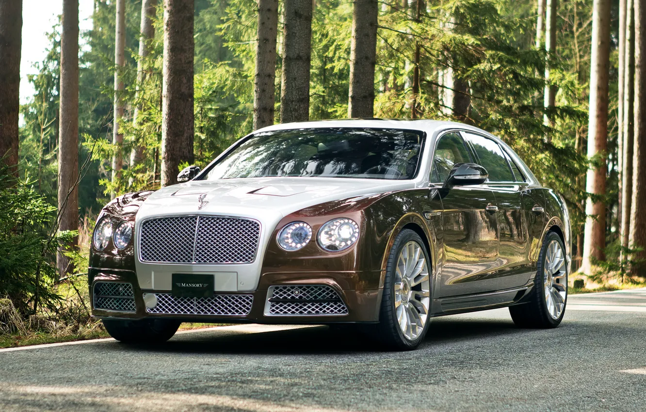 Фото обои continental, bentley, mansory, flying_spur_7