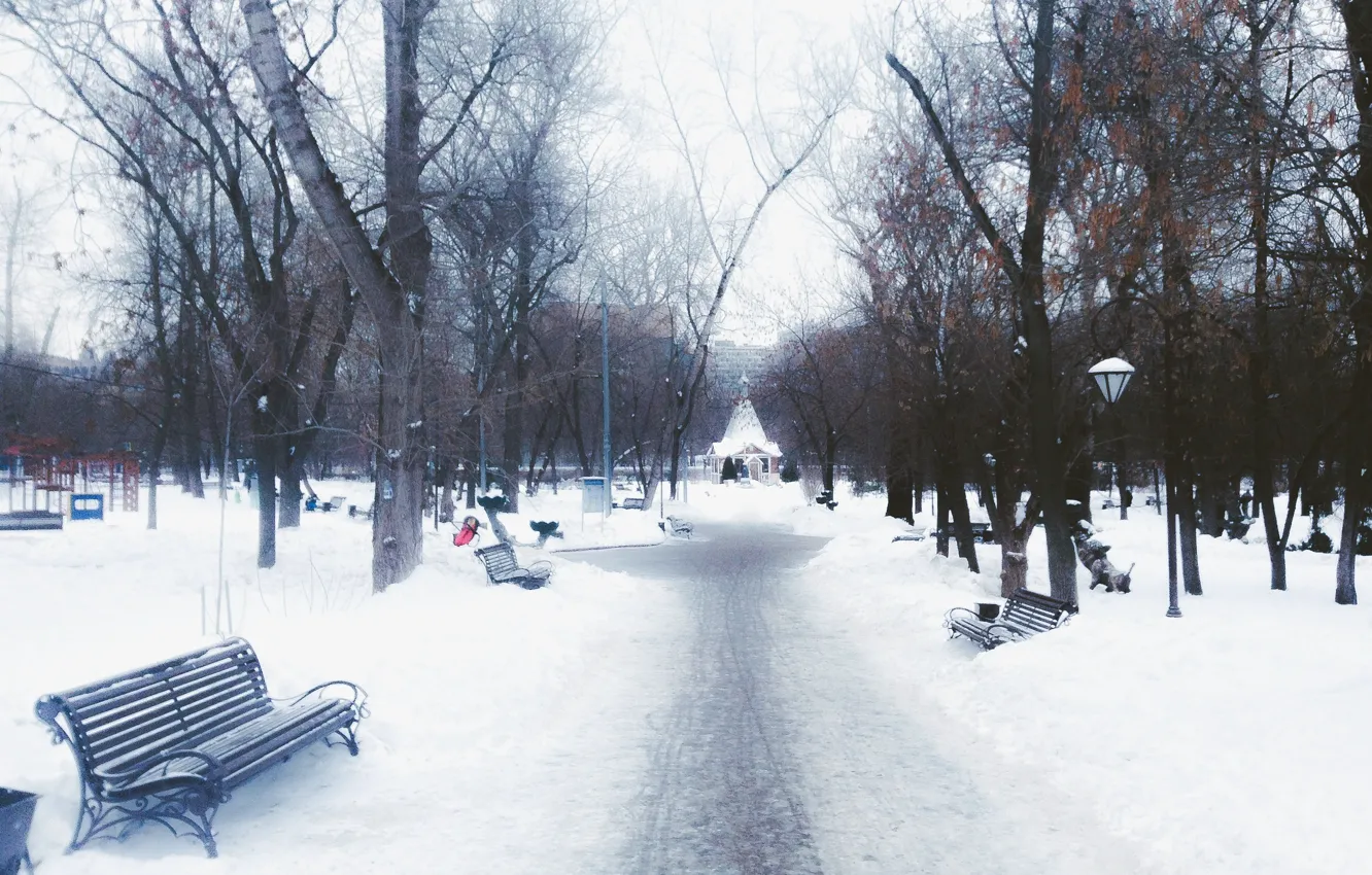 Фото обои Зима, Деревья, Снег, Парк, Сквер, Скамейки