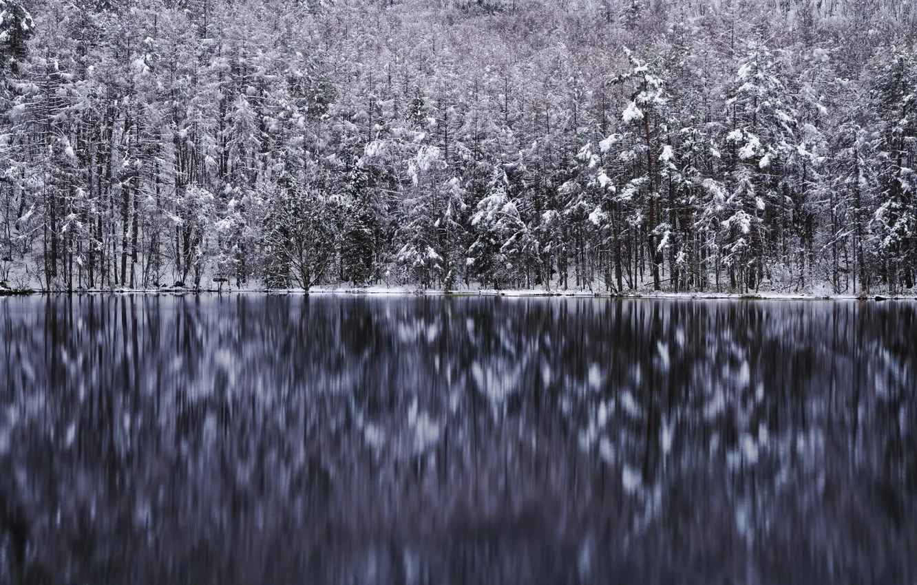 Фото обои зима, лес, деревья, озеро, отражение