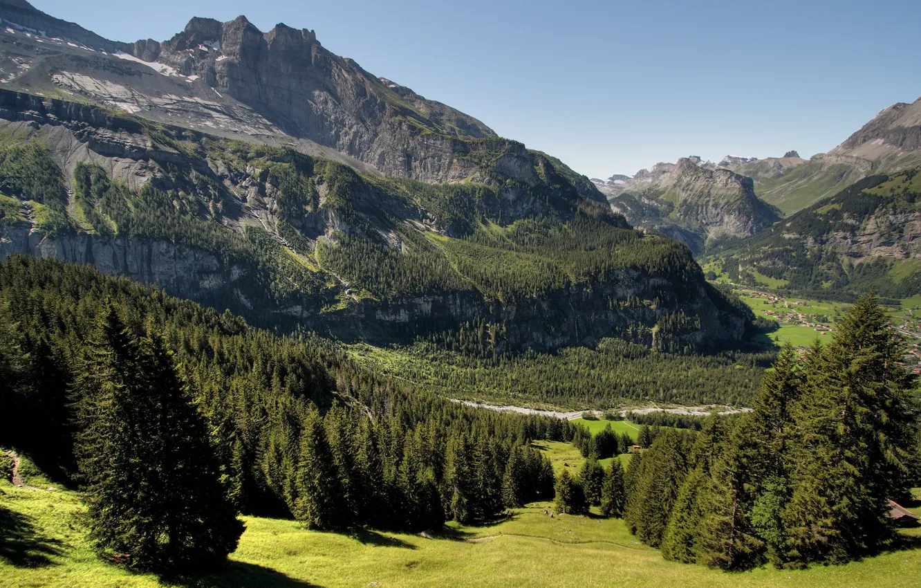 Фото обои summer, grass, trees, mountains, rocks