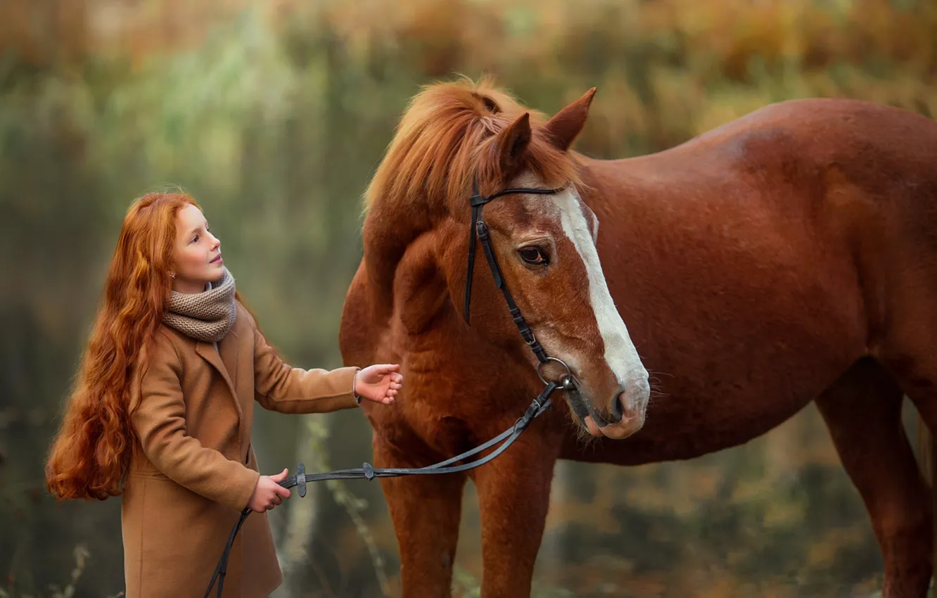 Фото обои конь, волосы, лошадь, дружба, девочка, рыжая