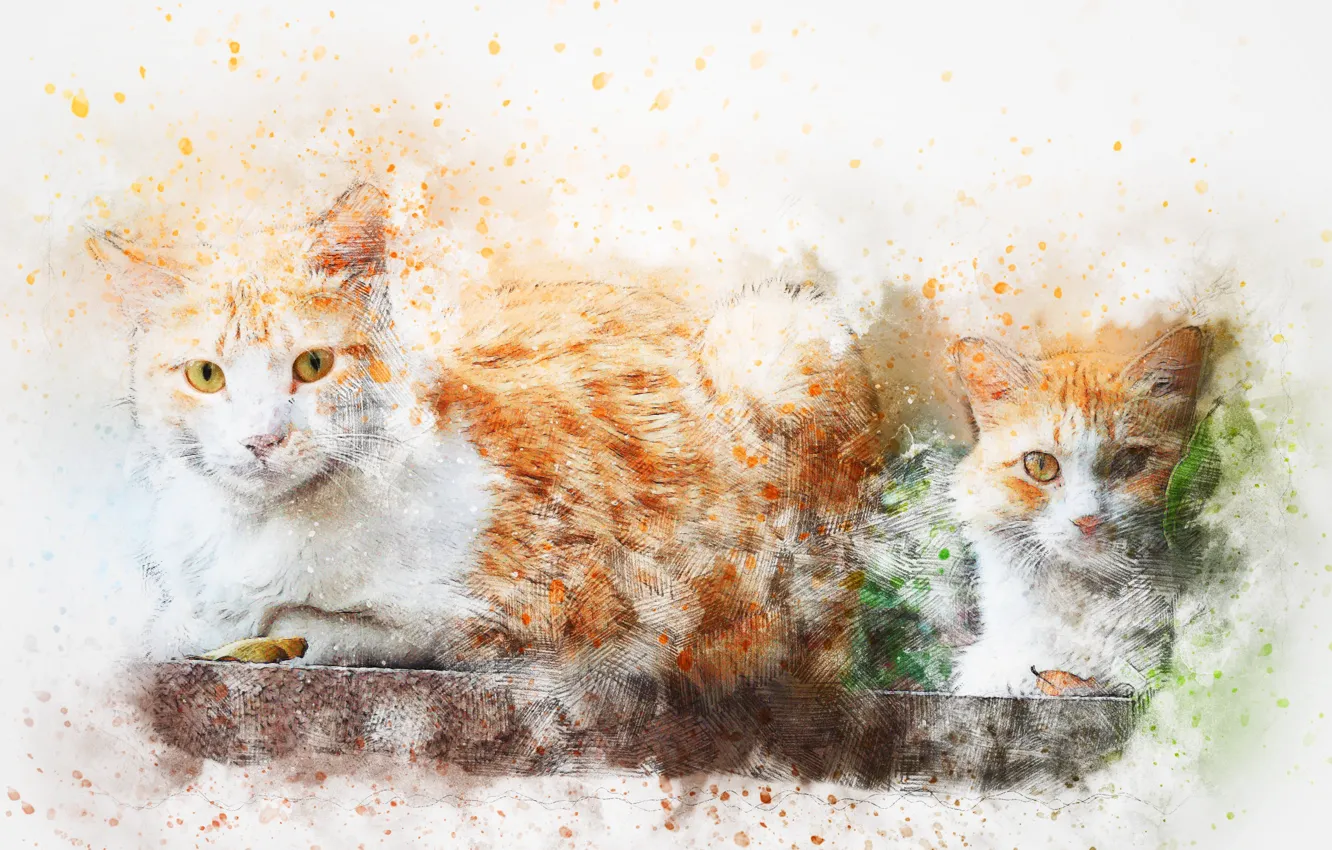 Фото обои кошки, фон, акварель, art