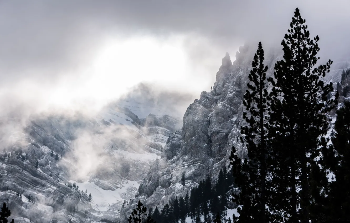 Фото обои зима, облака, снег, деревья, горы, природа, скалы