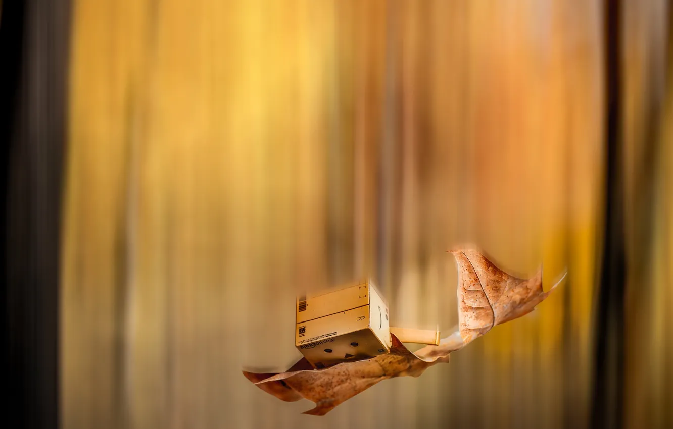 Фото обои листья, коробка, падение, amazon