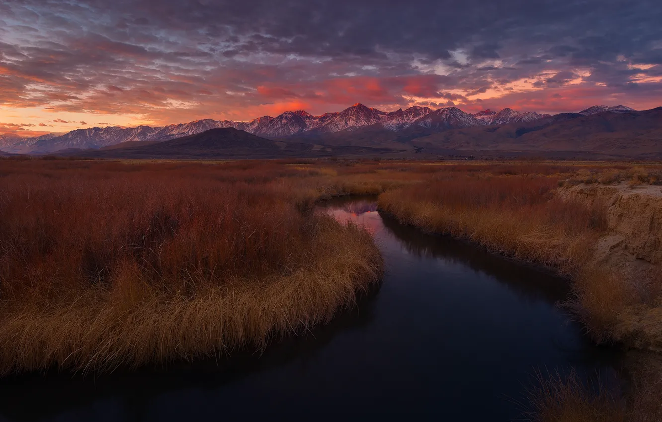 Фото обои grass, california, sunset, mountains, usa, owens river
