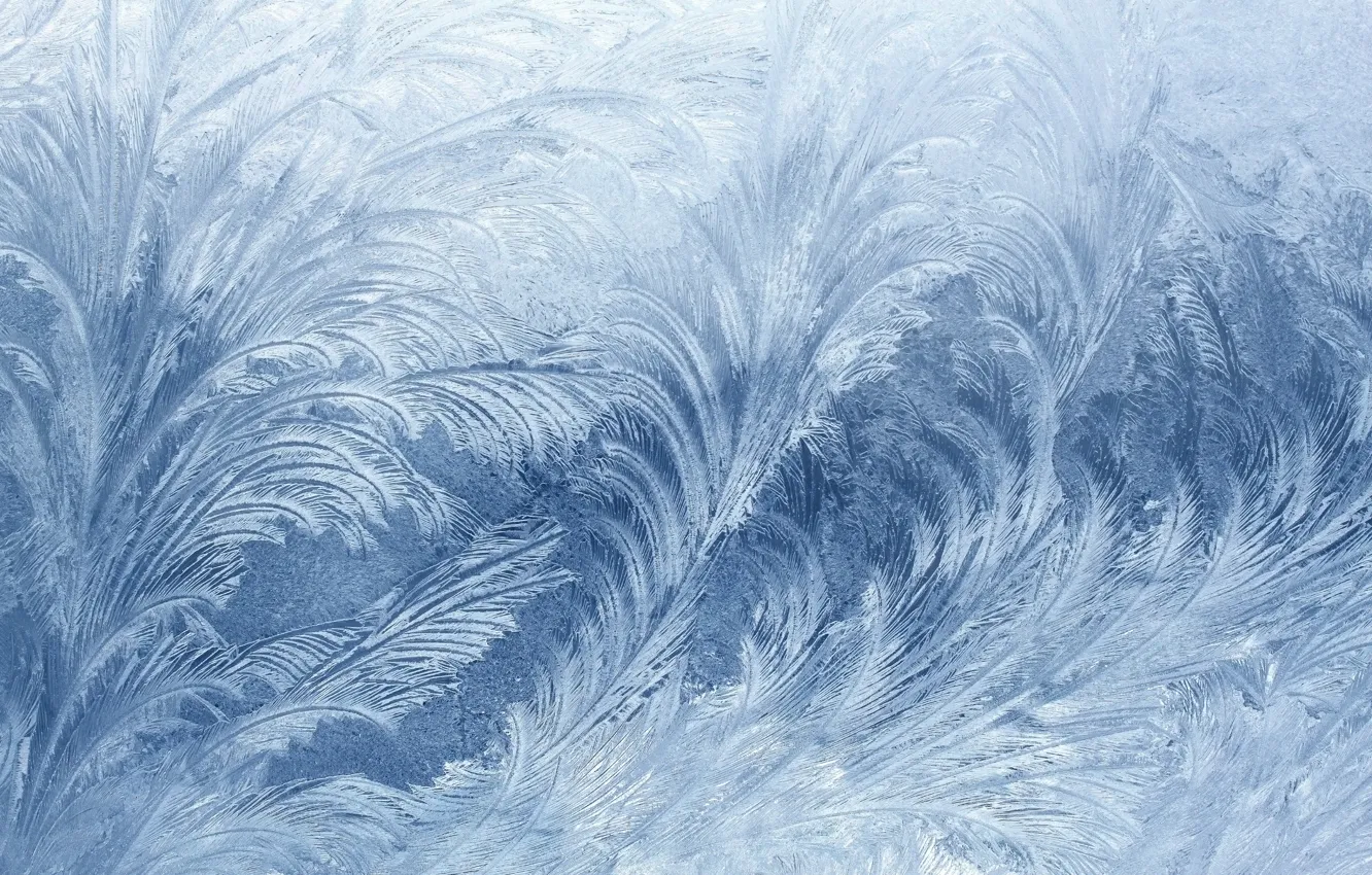 Фото обои лед, зима, узоры, красиво, текстуры