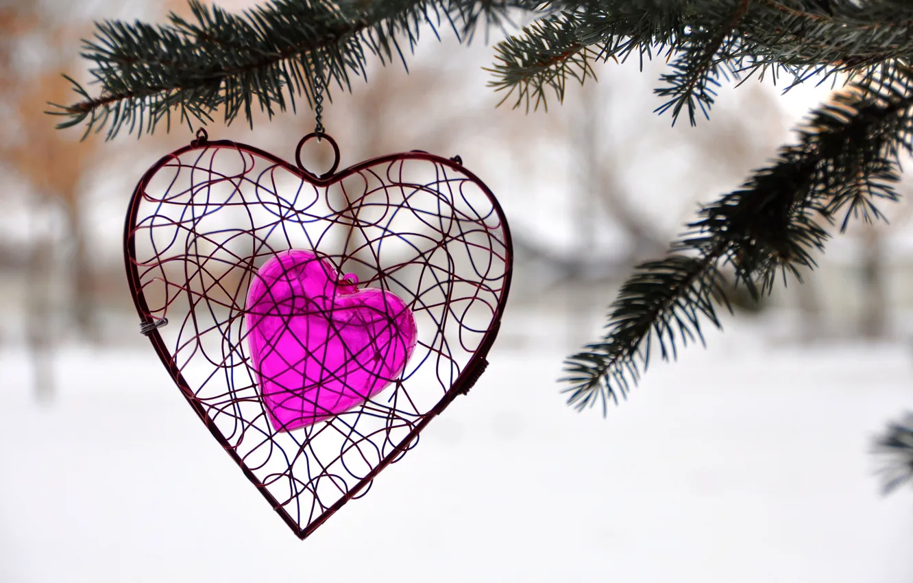 Фото обои зима, дерево, сердце, ель, украшение, влюбленные, сердечко, святой
