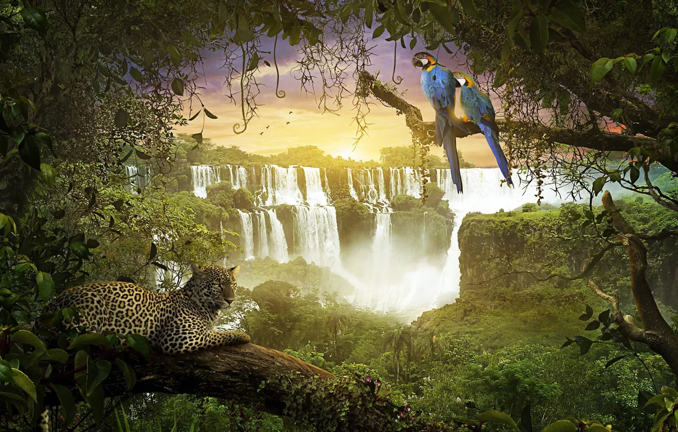 Фото обои водопад, джунгли, обезьяна, леопард, попугай, Amazonia
