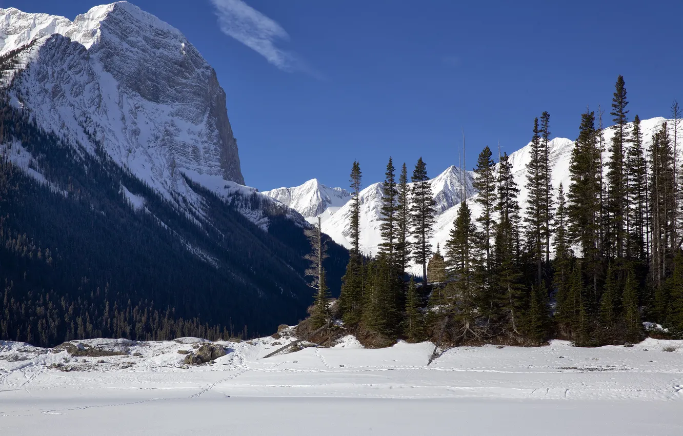 Фото обои лед, зима, небо, снег, деревья, горы, скала, озеро