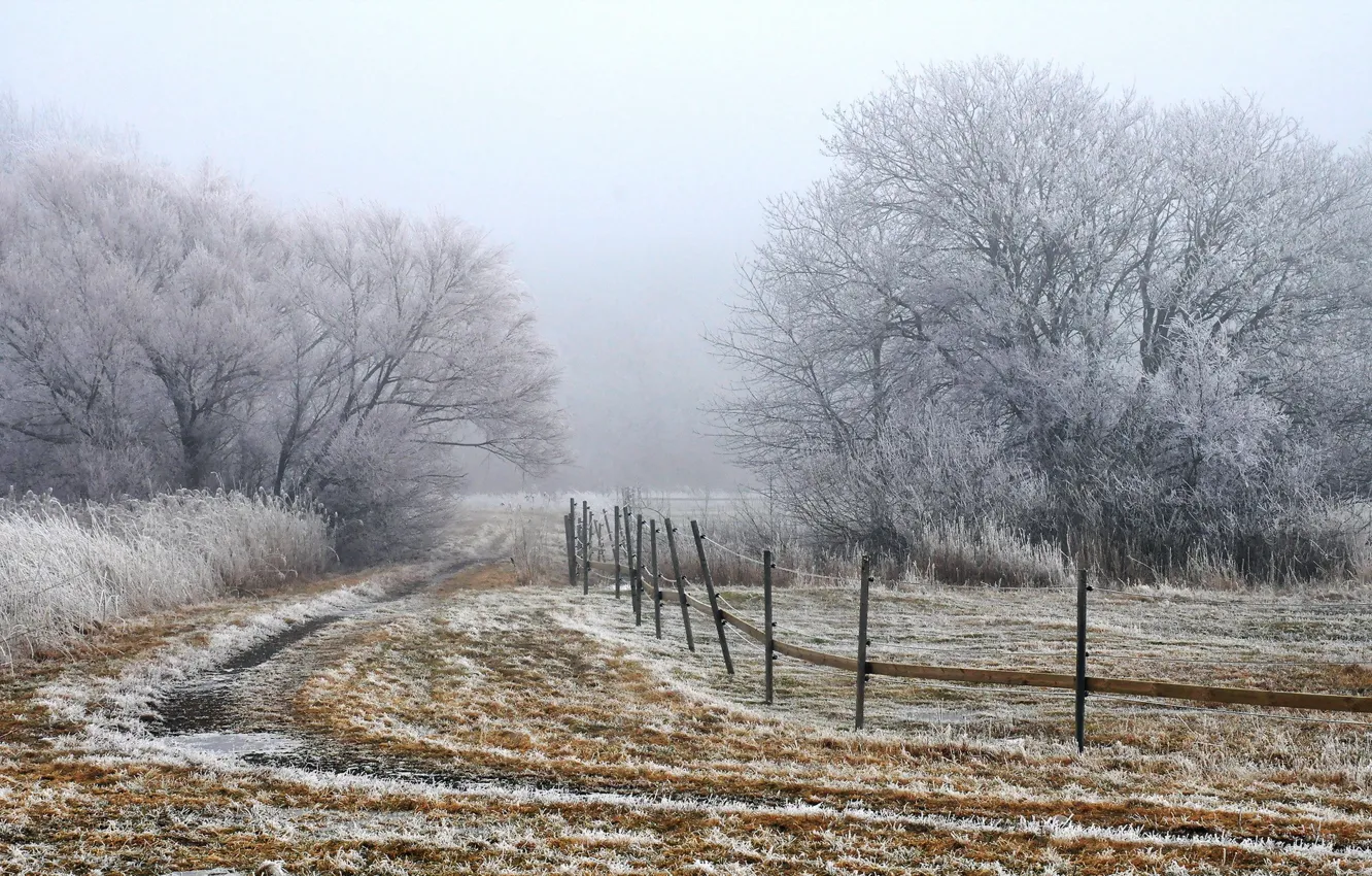 Фото обои поле, пейзаж, туман, забор, утро