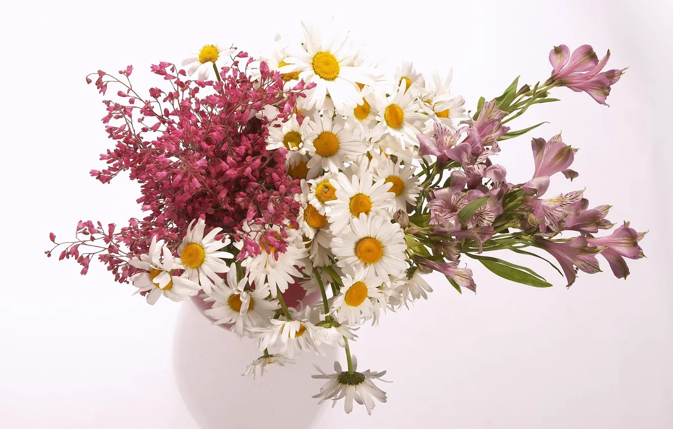 Фото обои лилии, ромашки, букет, белый фон