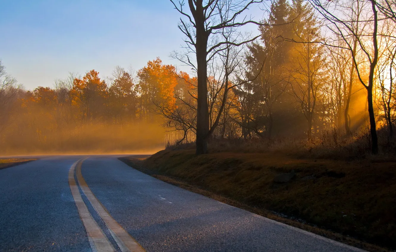 Фото обои дорога, осень, пейзаж, утро