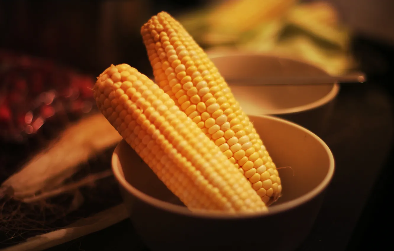 Фото обои кукуруза, желтая, овощ